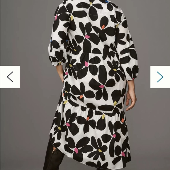 Anthropologie bettina dress - Picture 5 of 7